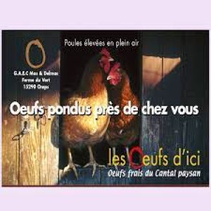 Mas et Delmas Gaec (oeufs)- LOGO
